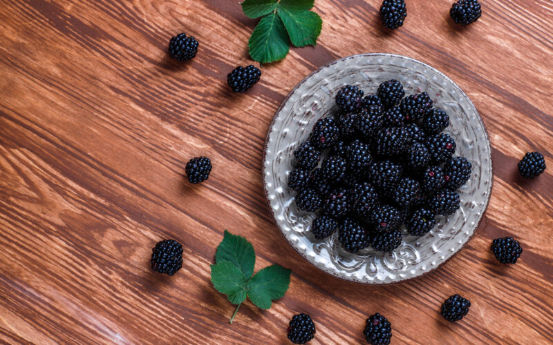أهم فوائد التوت الاسود المذهلة ومحاربتة للخلايا السرطانية