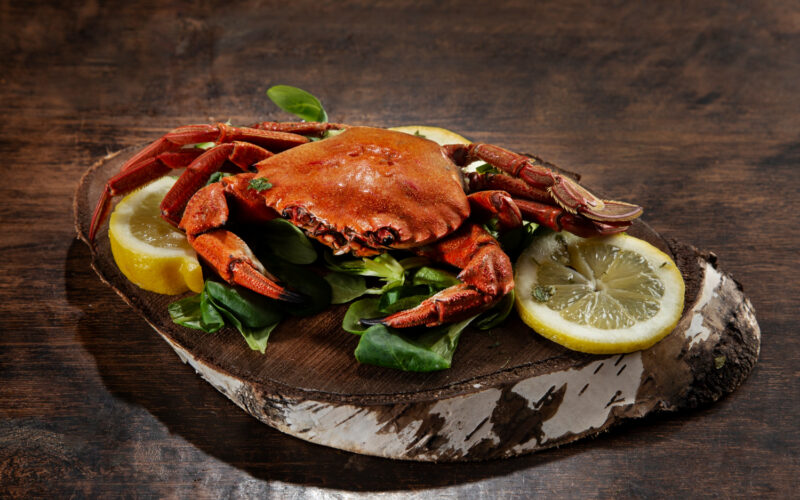 طريقة عمل كابوريا مشوية بطريقة سهلة ومذاق لا يُقاوم