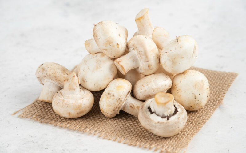 طريقة طبخ المشروم بوصفة مبتكرة وشهية